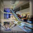 Concession & Concourse Guide
